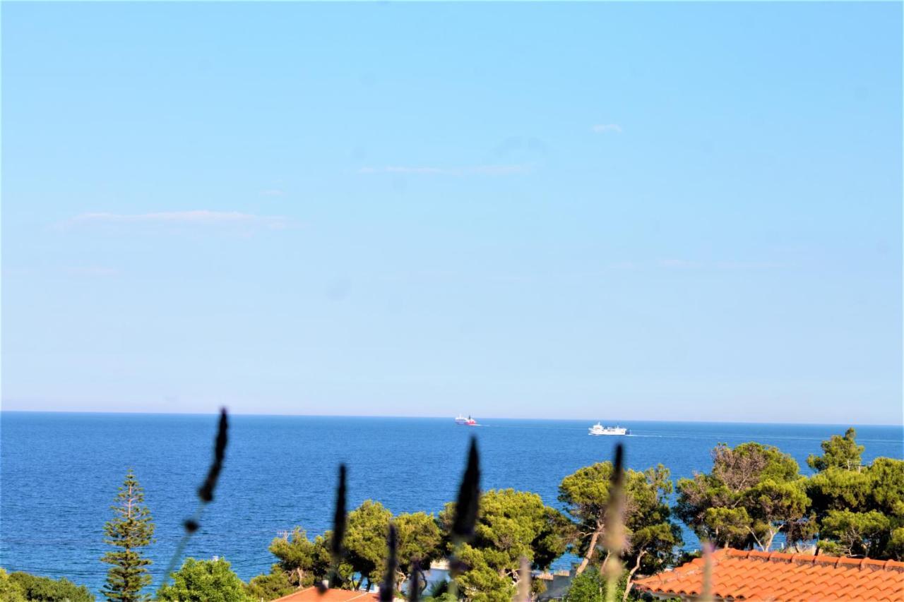 Sea View Apartment 15 Min From Athens Airport Néa Mákri エクステリア 写真