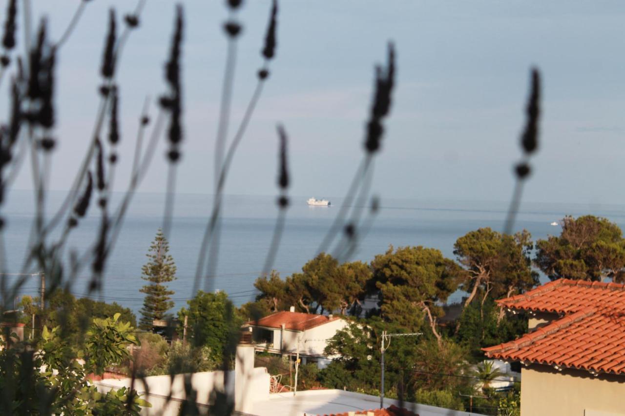 Sea View Apartment 15 Min From Athens Airport Néa Mákri エクステリア 写真